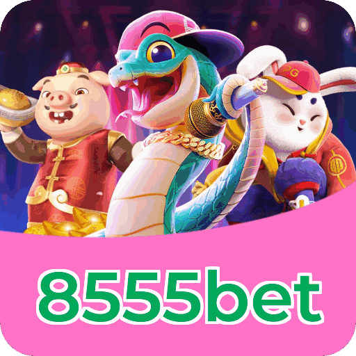 Métodos de pagamento aceitos na 8555bet